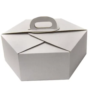 PASTEL HEXAGONAL (1)